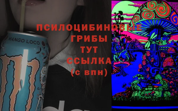 бутират Бородино