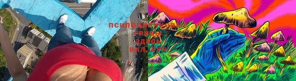 дмт Бугульма