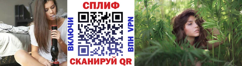 Каннабис OG Kush  mega   Буй  как найти закладки 